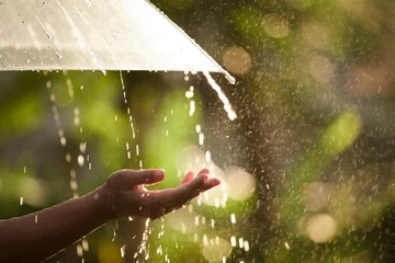 Foto op Aluminium Woman hand with umbrella in the rain in green nature background © pingpao