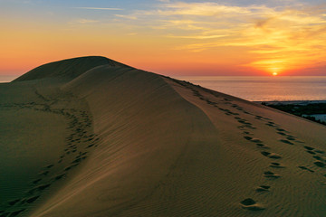 Fototapeta na wymiar Sand dunes on Patara beach at sunset. Turkey