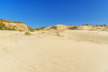 Fototapeta na wymiar Sand dunes on Patara beach. Turkey