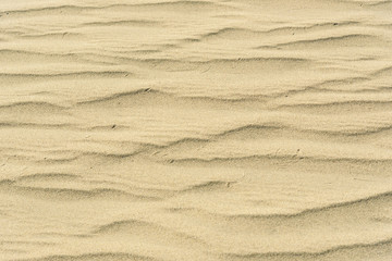 Sand dunes