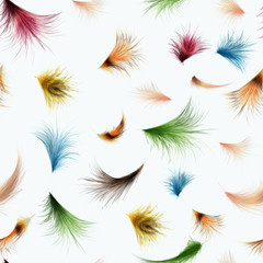Fototapeta na wymiar Colorful feathers on white background.