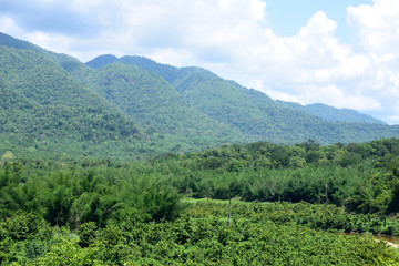 Tropical rainforest at Huai Kha Khaeng Wildlife Sanctuary, Thailand, Forest landscape at World Heritage - 158067503