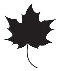 Maple leaf silhouette