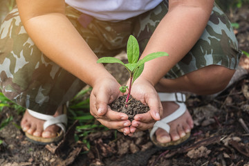 Hands clutching clay and seedlings with soft focus.