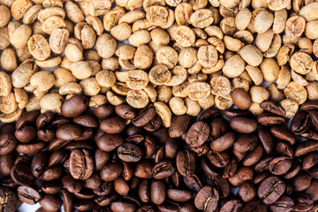 brown and white coffee beans background.