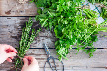 Female hands gather a bunch of fresh rosemary, a top view, copy space