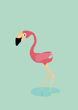 cute flamingo vector
