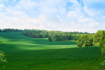 Obraz premium Amazing rural summer landscape