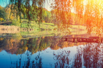 A shore of the lake in the autumn morning. Beautiful nature. Reflection on the lake