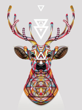 OH DEER