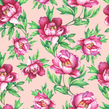 Vintage floral seamless pattern with flowering pink peonies, on pink background. Elegance watercolor hand drawn painting illustration. Isolated. Design for fabric, wrap paper or wallpaper. 