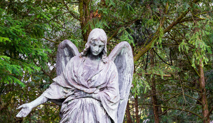 Statue of an Angel on Graveyard