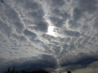 Altocumulus - Wolken am Morgen