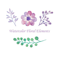 Watercolor floral elements