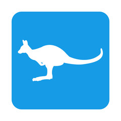 Icono plano canguro en cuadrado azul