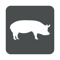 Icono plano cerdo en cuadrado gris