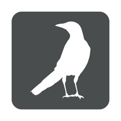 Icono plano cuervo en cuadrado gris