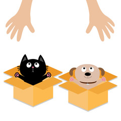 Human hand. Dog Cat inside opened cardboard package box. Ready for a hug. Puppy pooch kitten cat looking up to pink heart. Pet adoption Flat design Help animal concept White background.