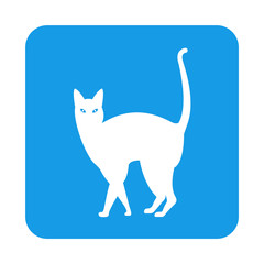 Icono plano gato en cuadrado azul