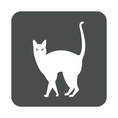 Icono plano gato en cuadrado gris