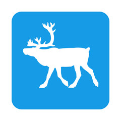 Icono plano reno en cuadrado azul