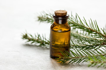Obraz na płótnie Canvas Spruce needle aromatherapy essential oils in bottles on white table background