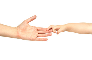hand of a small child holds the hand of his mother on white background