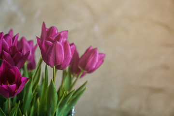 Beautiful bouquet of tulips on blurred background
