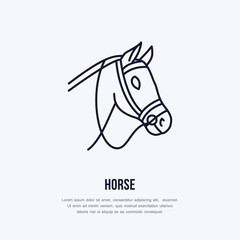 Horse, cute pony flat line icon. Logo for equestrian club, horserace equipment store.