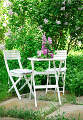 Cage with beautiful lilac flowers on table in garden