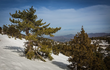 Snow in the mountains of Cyprus