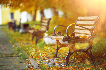 Benches in the autumn park