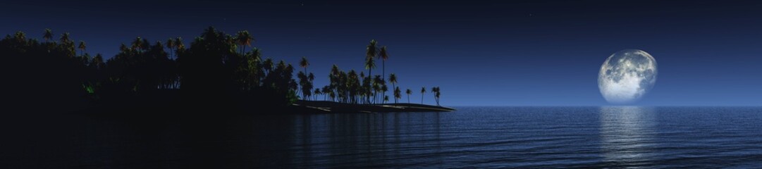 Tropical island under the moon, night ocean, shore at night, palm trees above the water under the moon