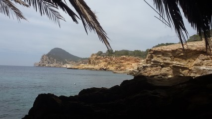 Fototapeta na wymiar Ibiza island landscape 