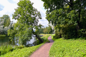 A picturesque view in Gatchina Palace Park on the beautiful nature and architecture. Summer landscape in the Gatchina, St. Petersburg, Russia.