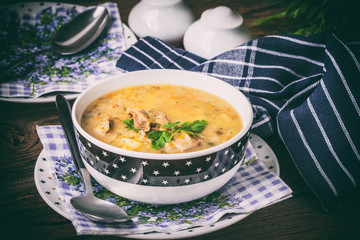 Soup with barley and chicken gizzards. Instagram style filtred image.