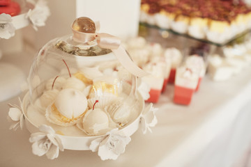 White macaroons and cookies stand under glass cover