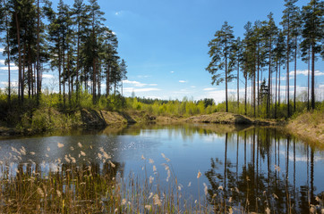 A small pond in the forest surrounded by pines. - 158140704