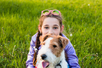 Fox terrier with beautifull dog. Muzzle dog. Best friend for people, for children. Friedship concept.