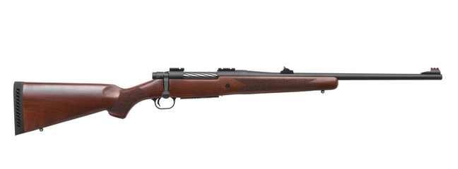 Gun rifle isolated on white