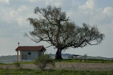 Beautiful  landscape with springtime venerable birch tree and old chapel, located in Plana mountain, Bulgaria 