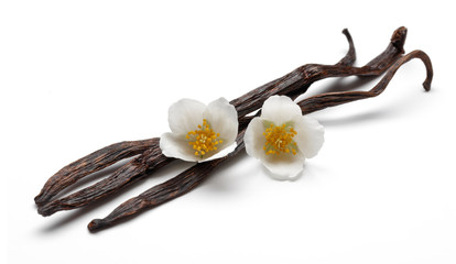 Vanilla sticks with jasmine flowers