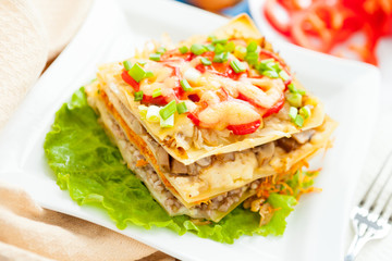 Freshly baked homemade lasagna with vegetables and cheese