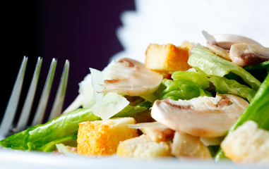 Salad of fresh mushrooms