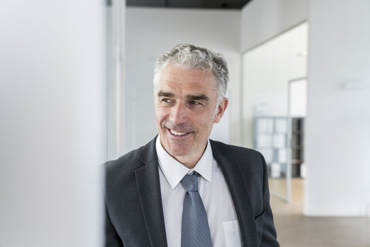 Mature businessman in office, portrait