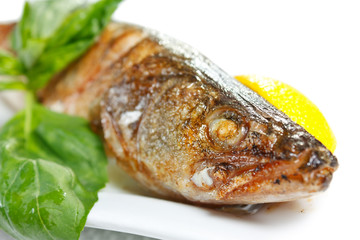 Grilled juicy pikeperch with lemon and basil