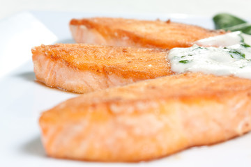 Roasted Fillet of Salmon with Sauce