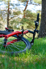 Red Bike Close-up Lying on Green Grass
