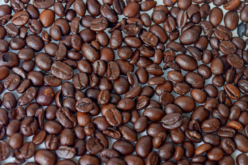 Coffee bean
