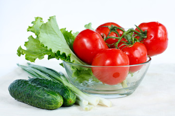 Fresh tomatoes, cucumber, lettuce, green onions in a salad-bowl